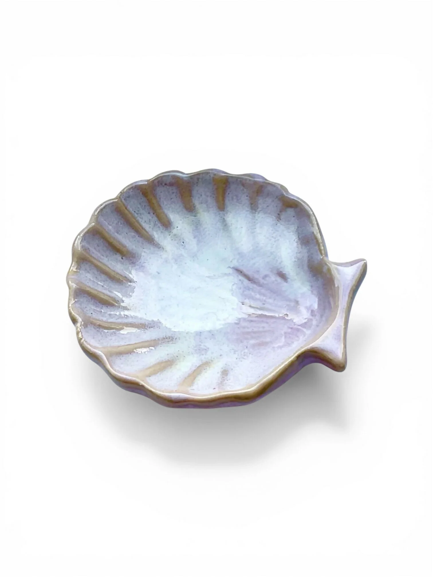 Sea Shell Dish