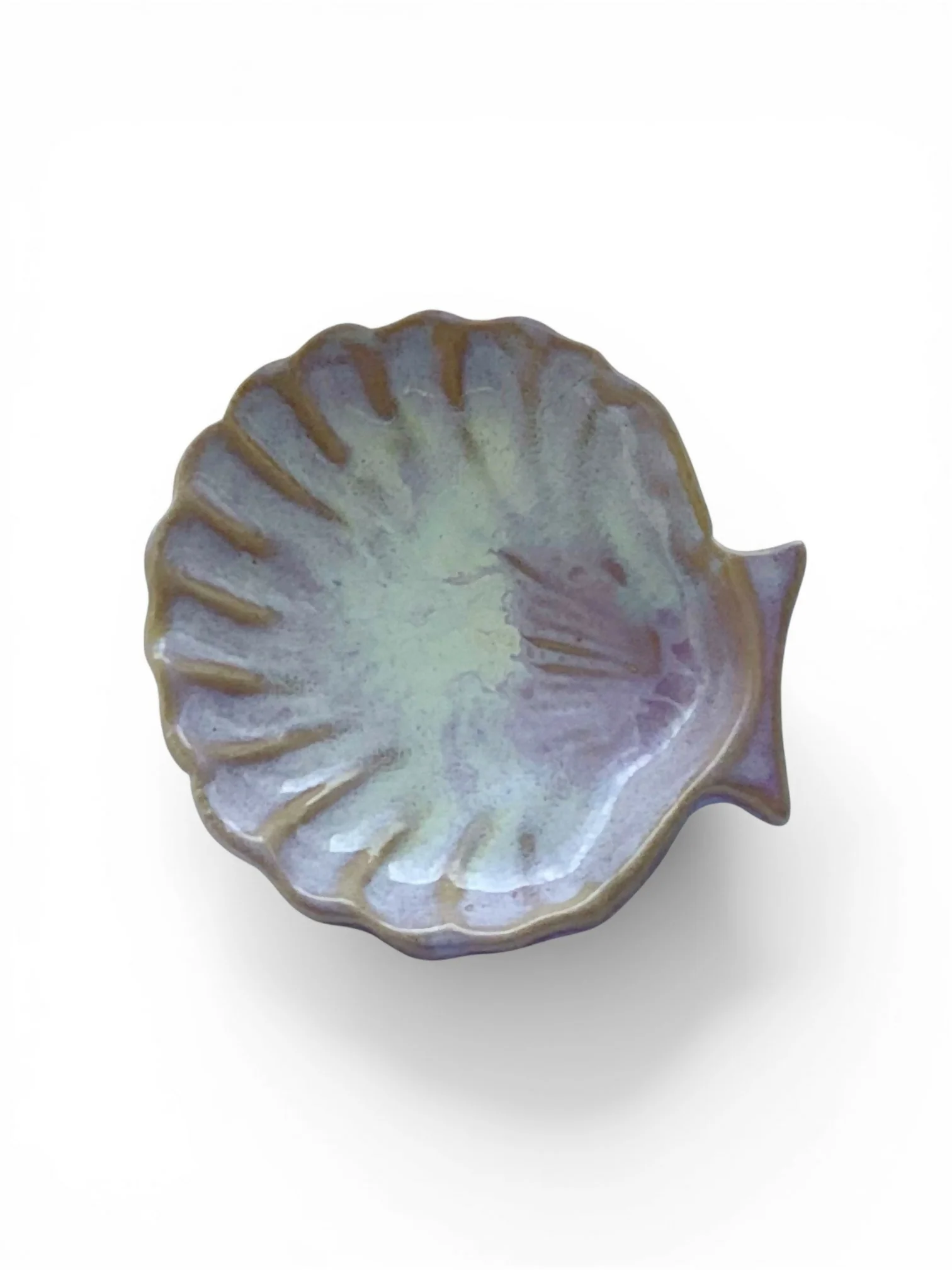 Sea Shell Dish - Image 4