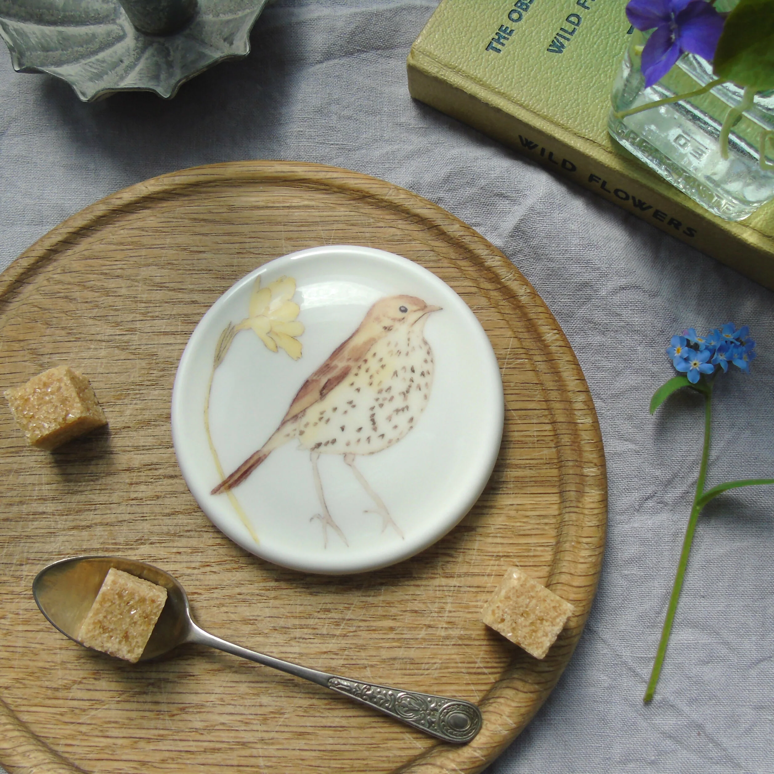 Song Thrush Coaster - Image 5