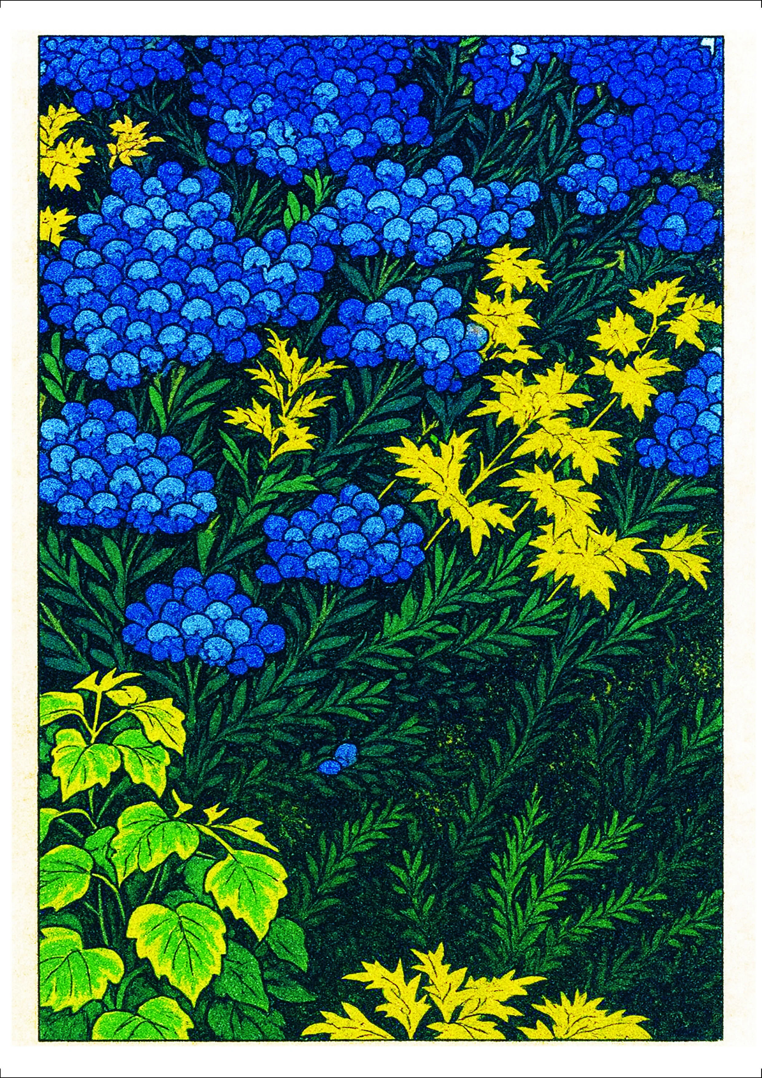 Spring Colours (Framed Print)
