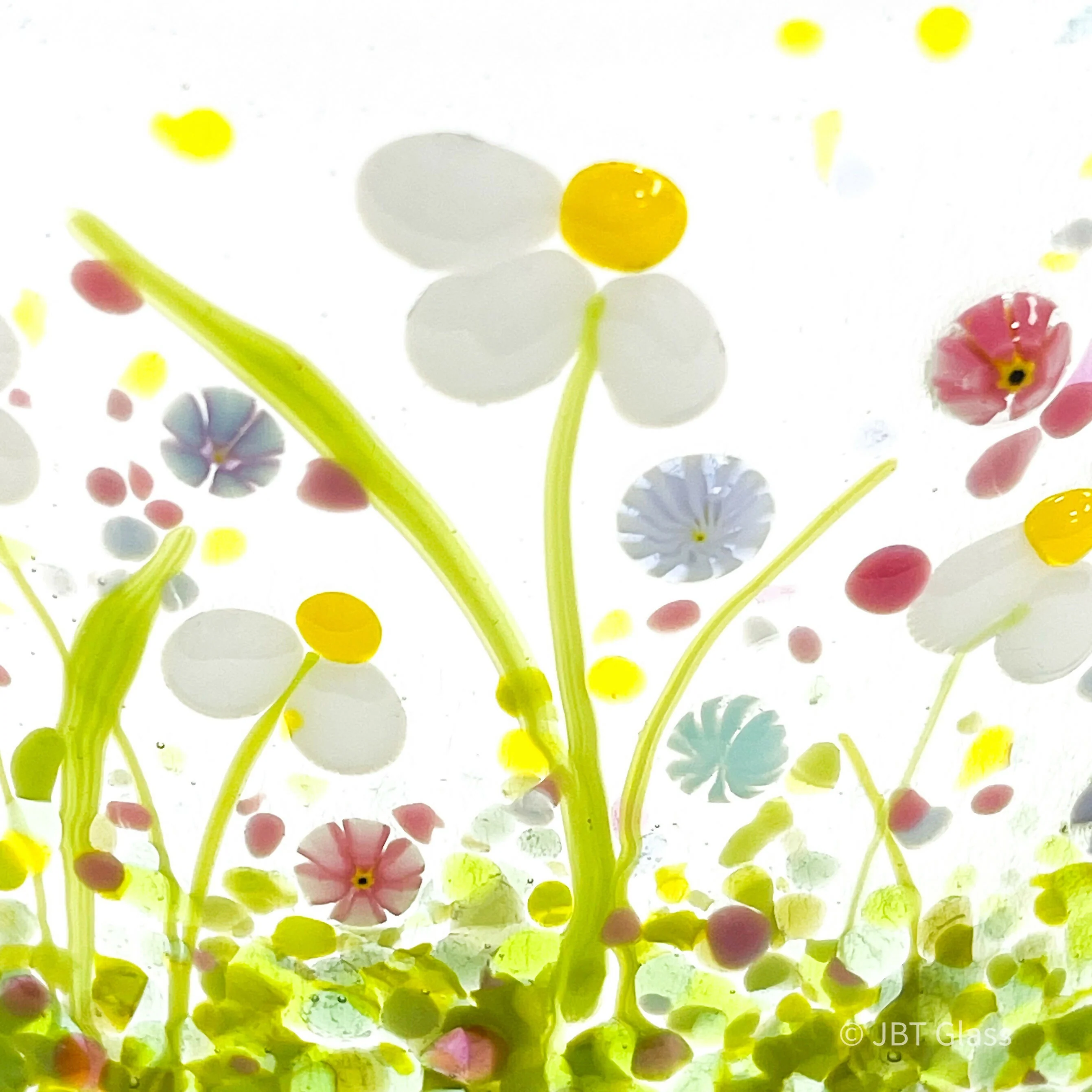 Spring Daisy NMW - Image 8