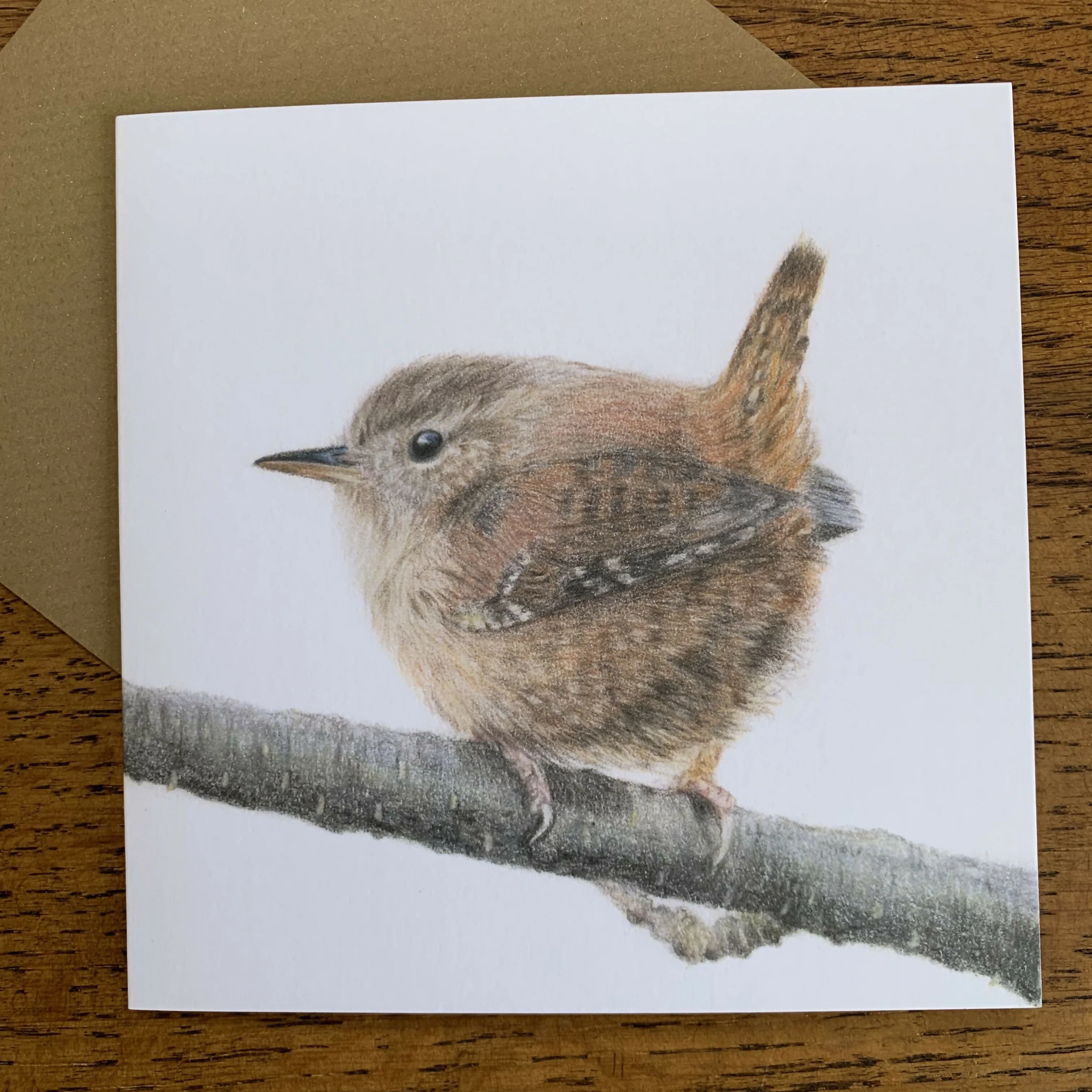 Square Greeting Card of a Wren. 5" x 5" Blank Inside.