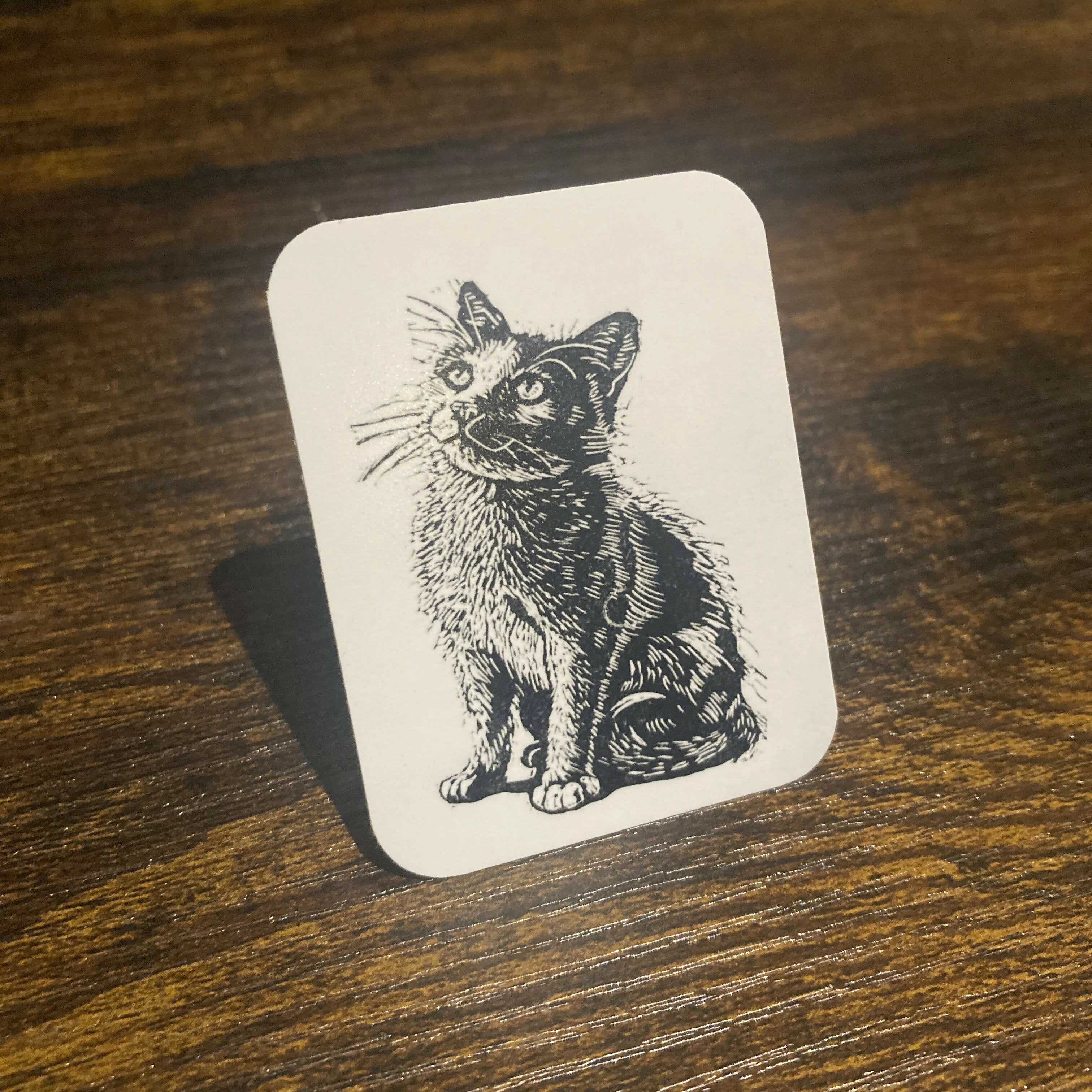 Sticker - B&W cat - Image 2