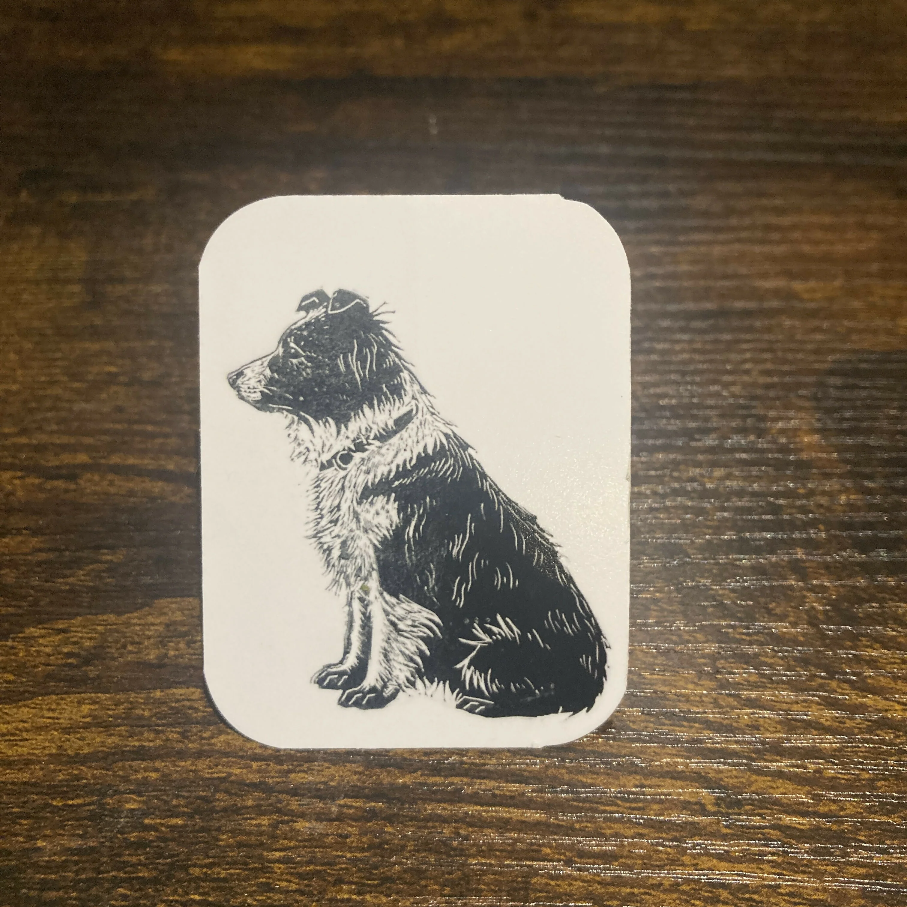 Sticker - Collie