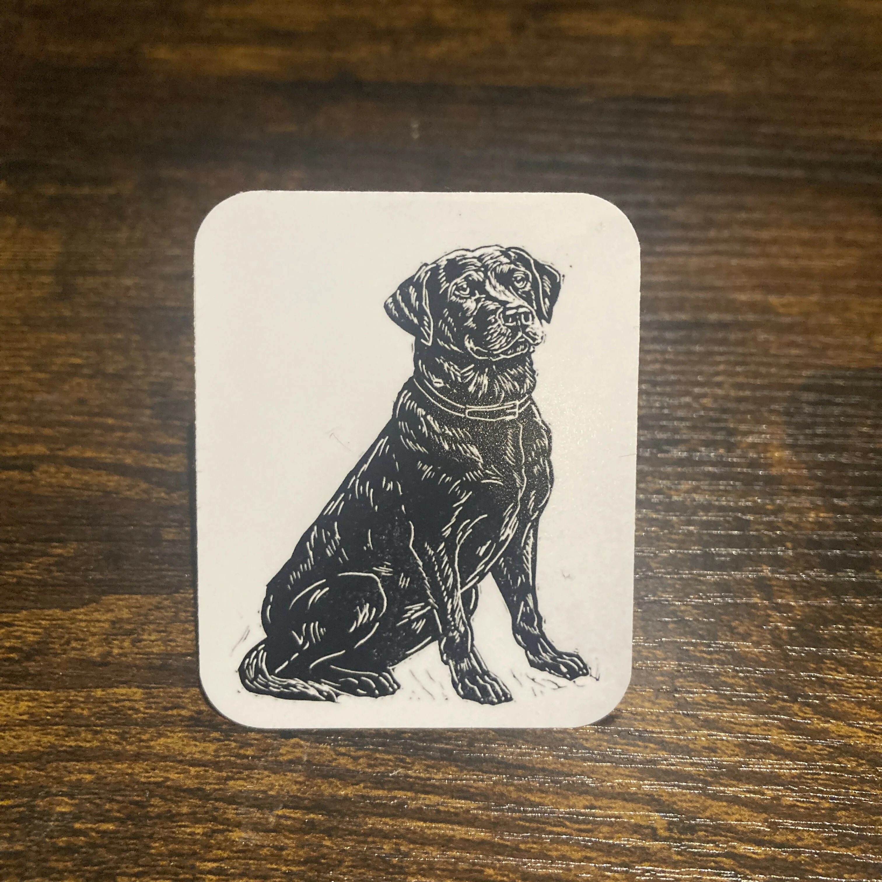 Sticker - Labrador