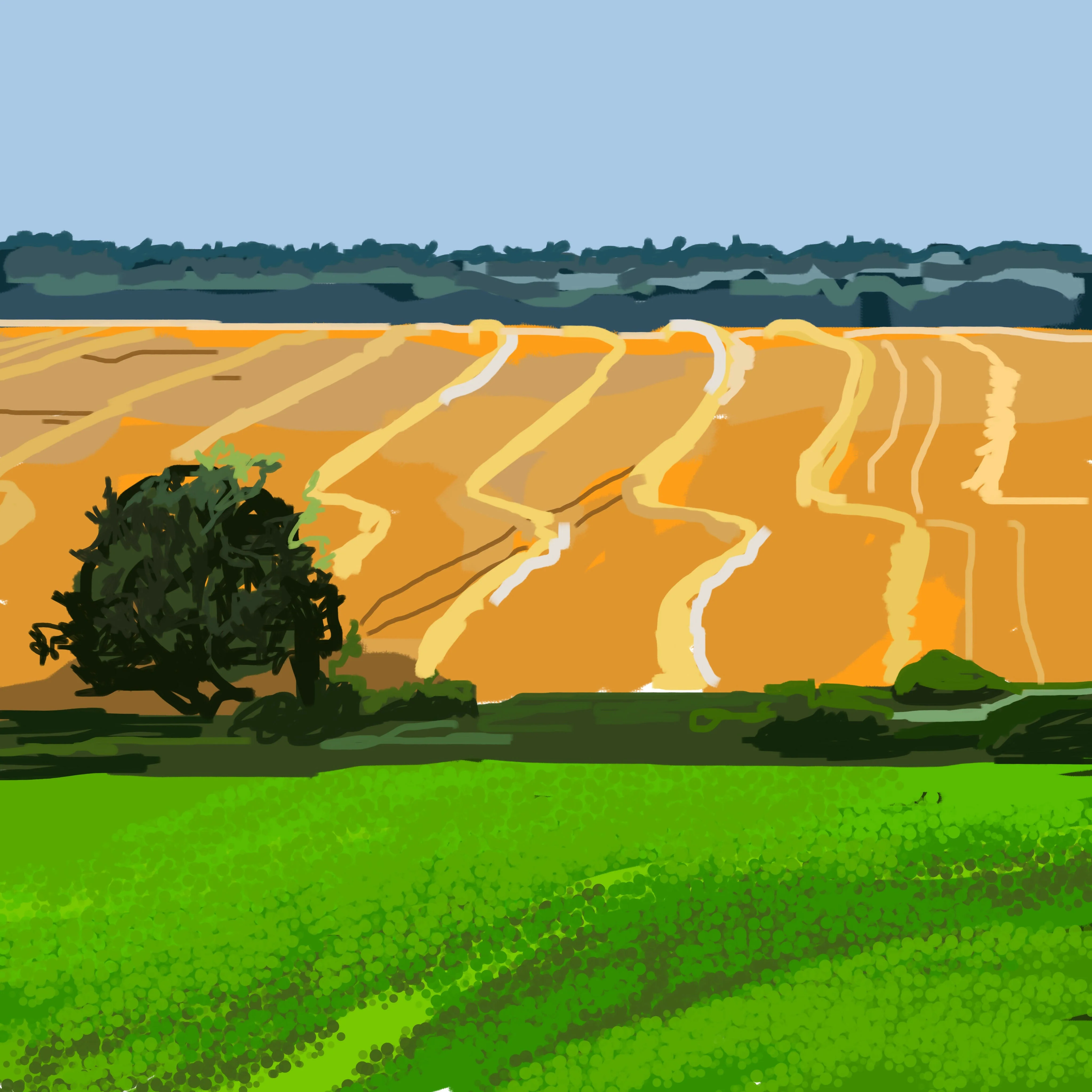 Summer in Yorkshire Greetings Card