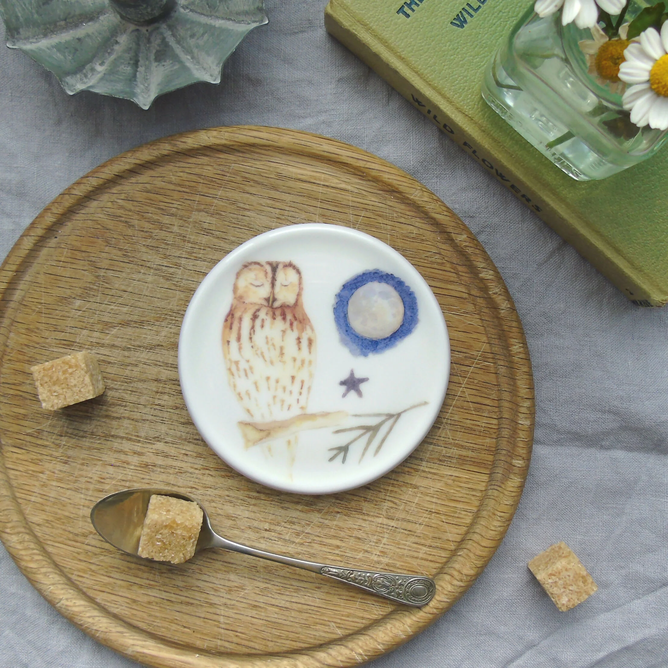 Tawny Owl Coaster
