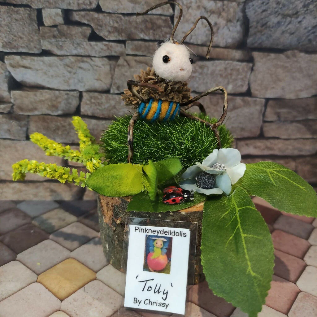 Tolly - Image 2