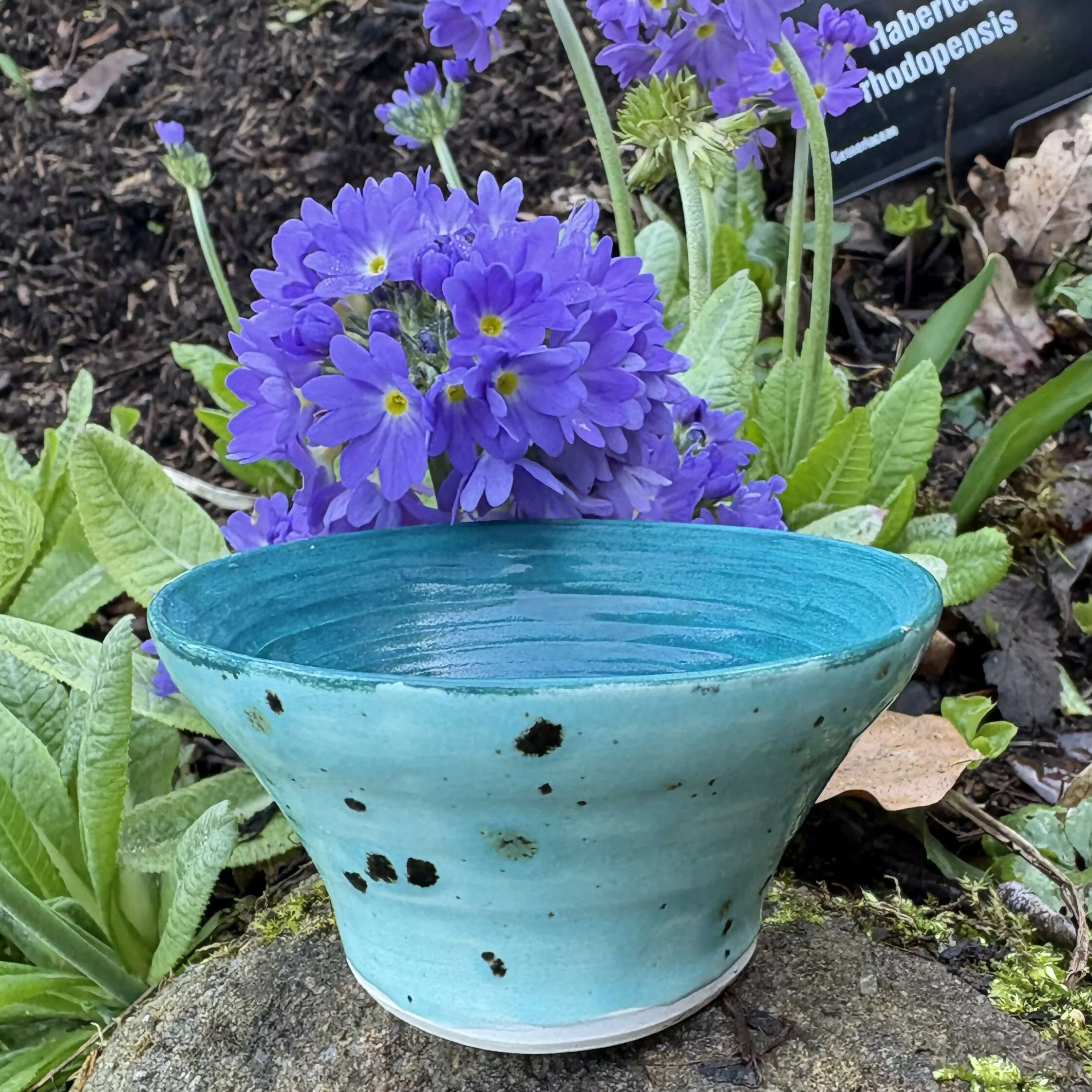 Turquoise Speckled Bowl - Image 4