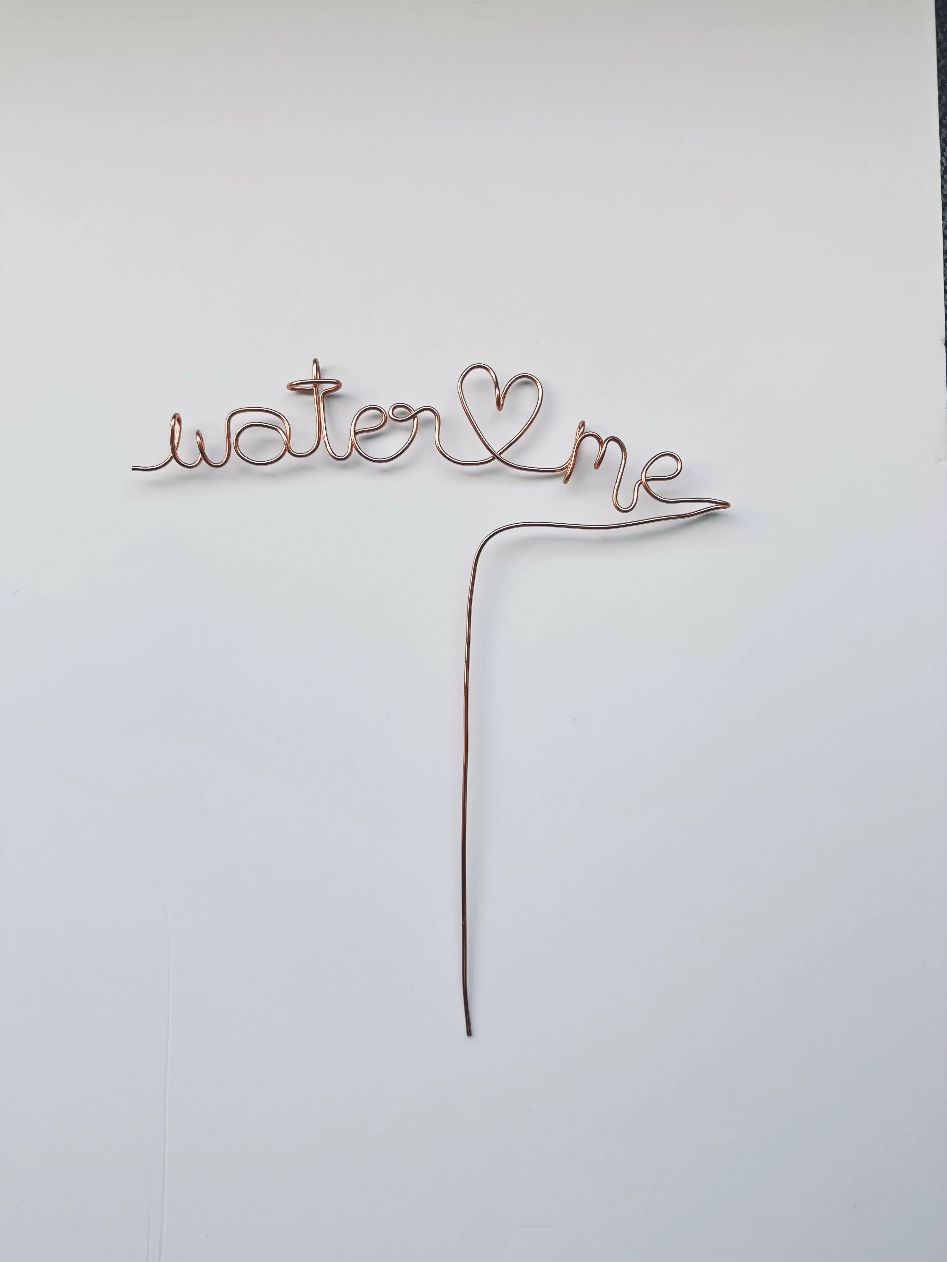 Water me Wire Plant Label - Image 2