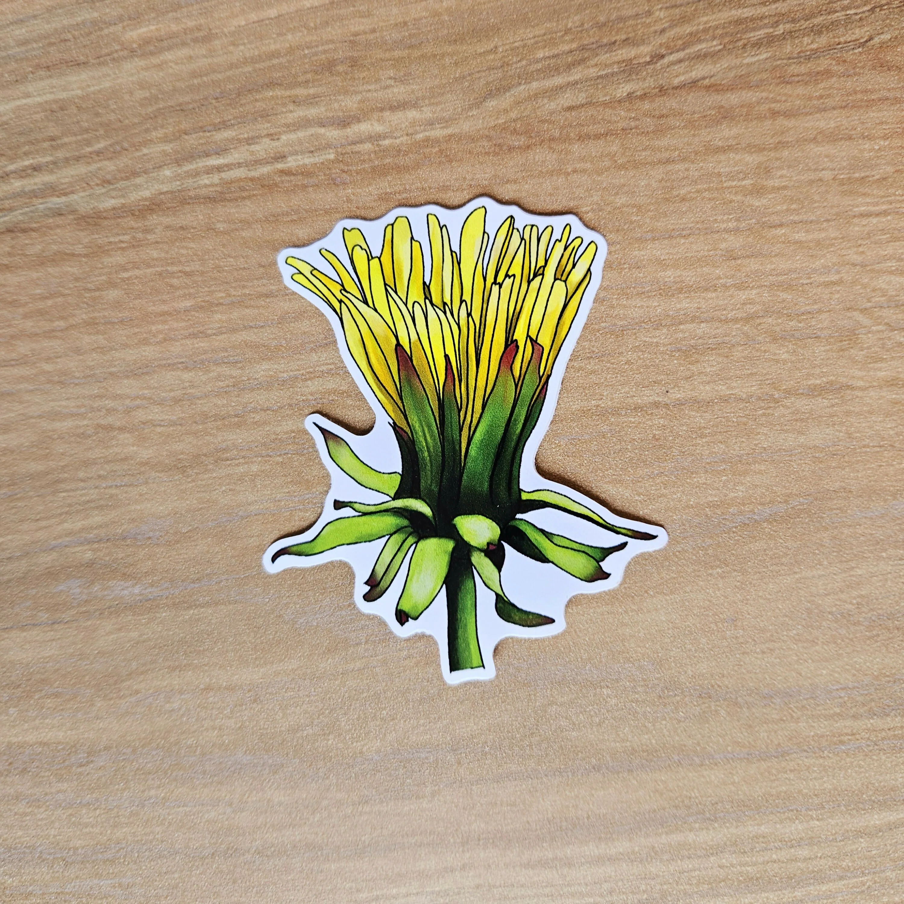 Watercolour Dandelion Flower Vinyl Stickers - Image 3