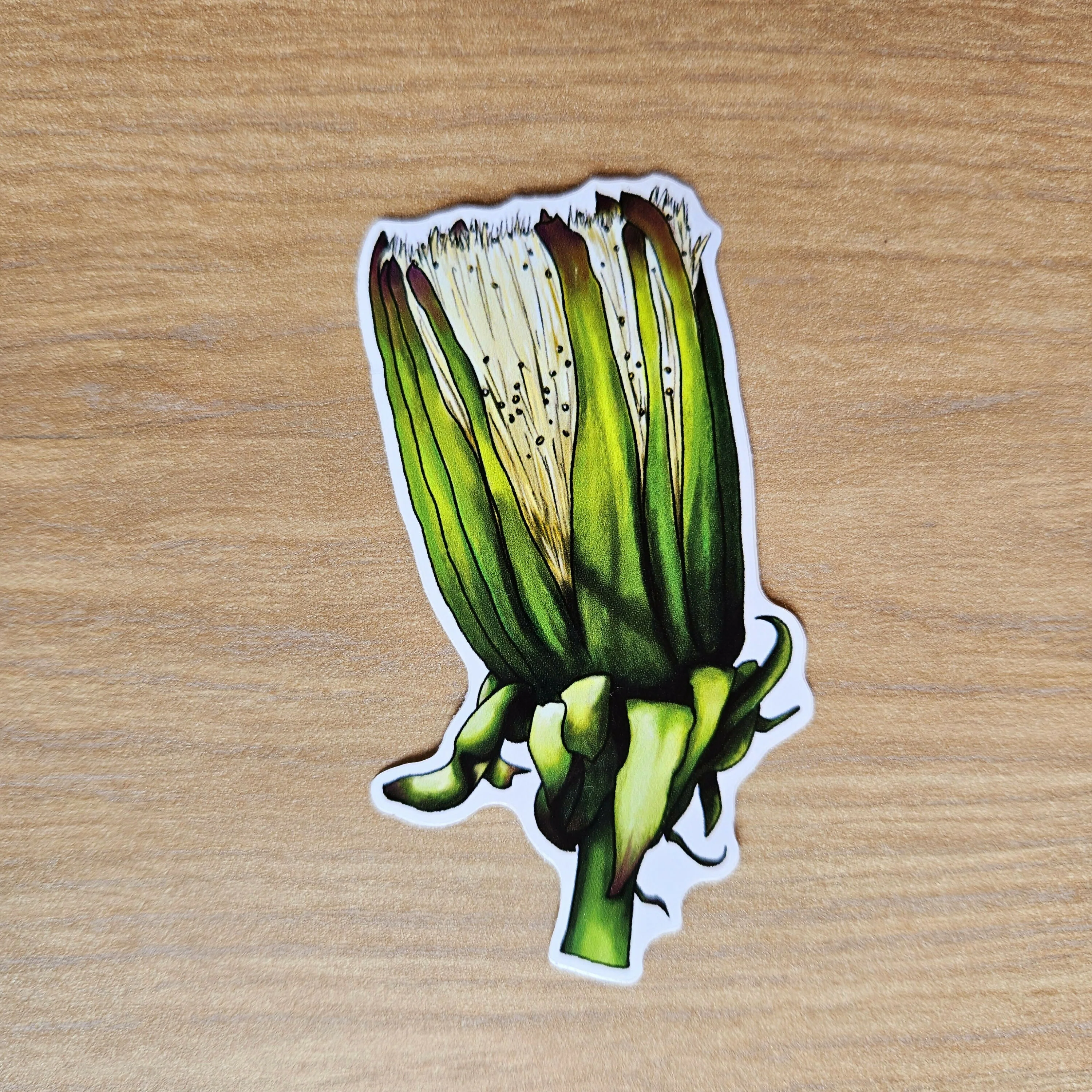 Watercolour Dandelion Flower Vinyl Stickers - Image 4