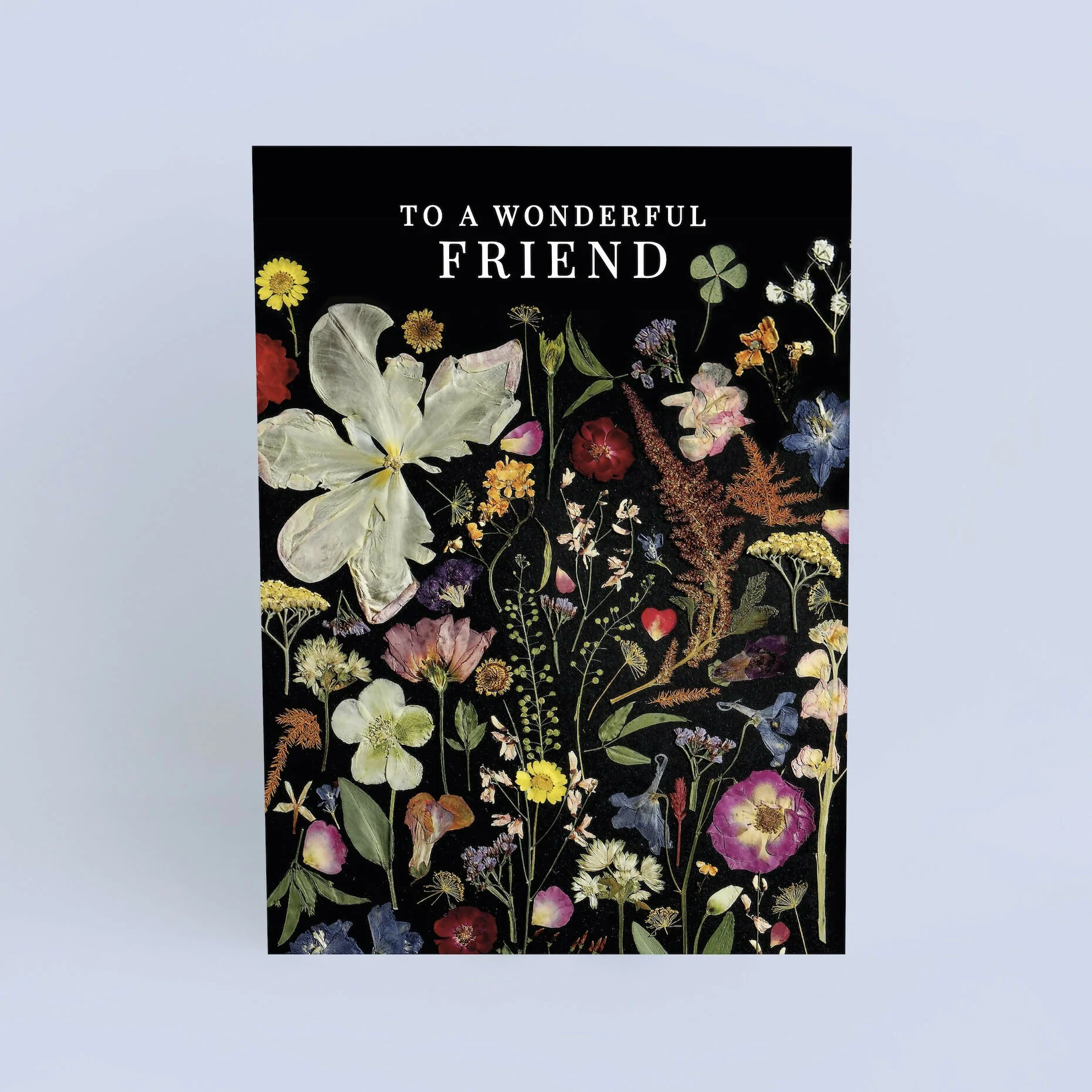 Wonderful Friend Black Pressed Flower Print Card