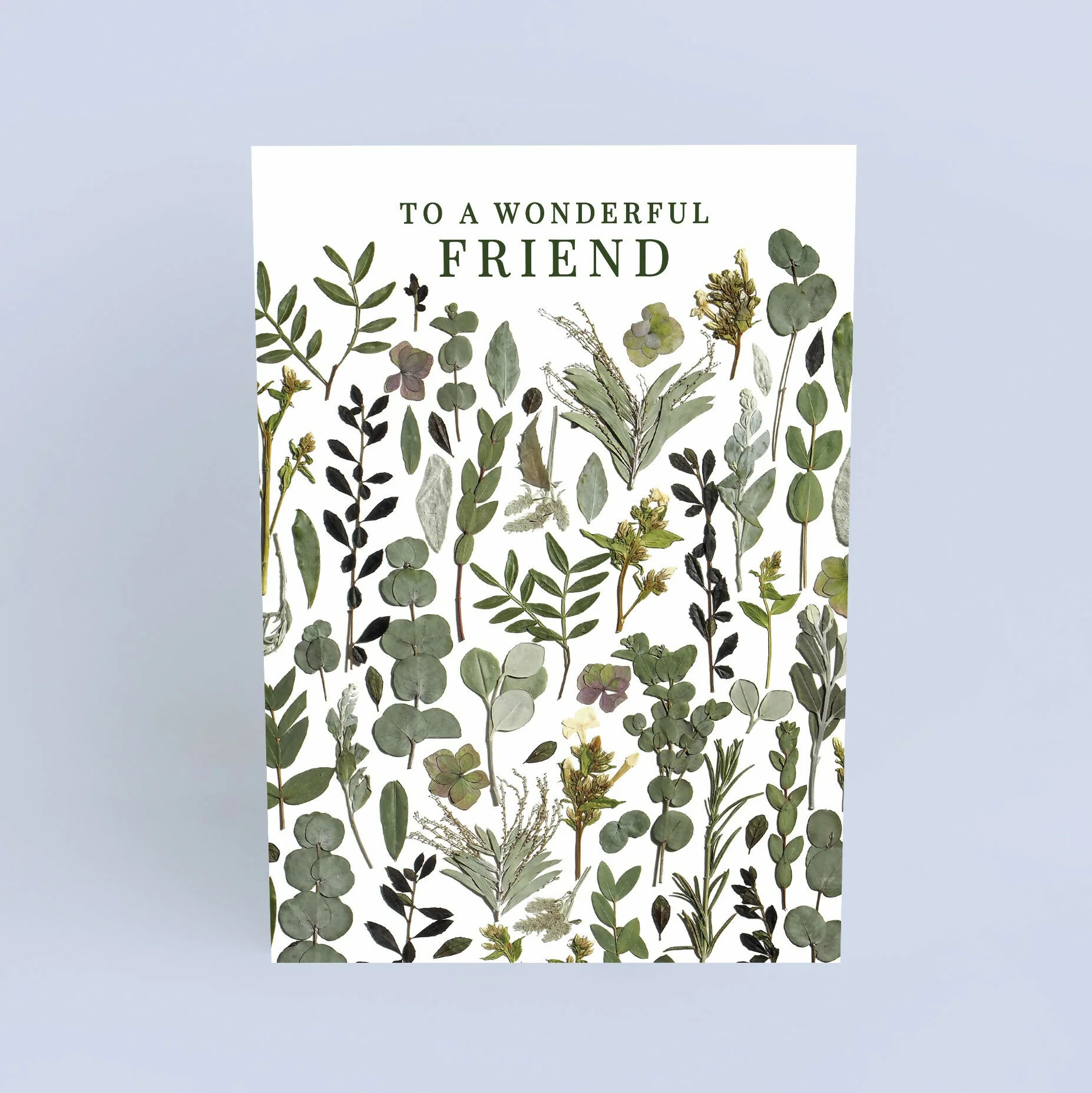 Wonderful Friend Green Pressed Flower Print Card