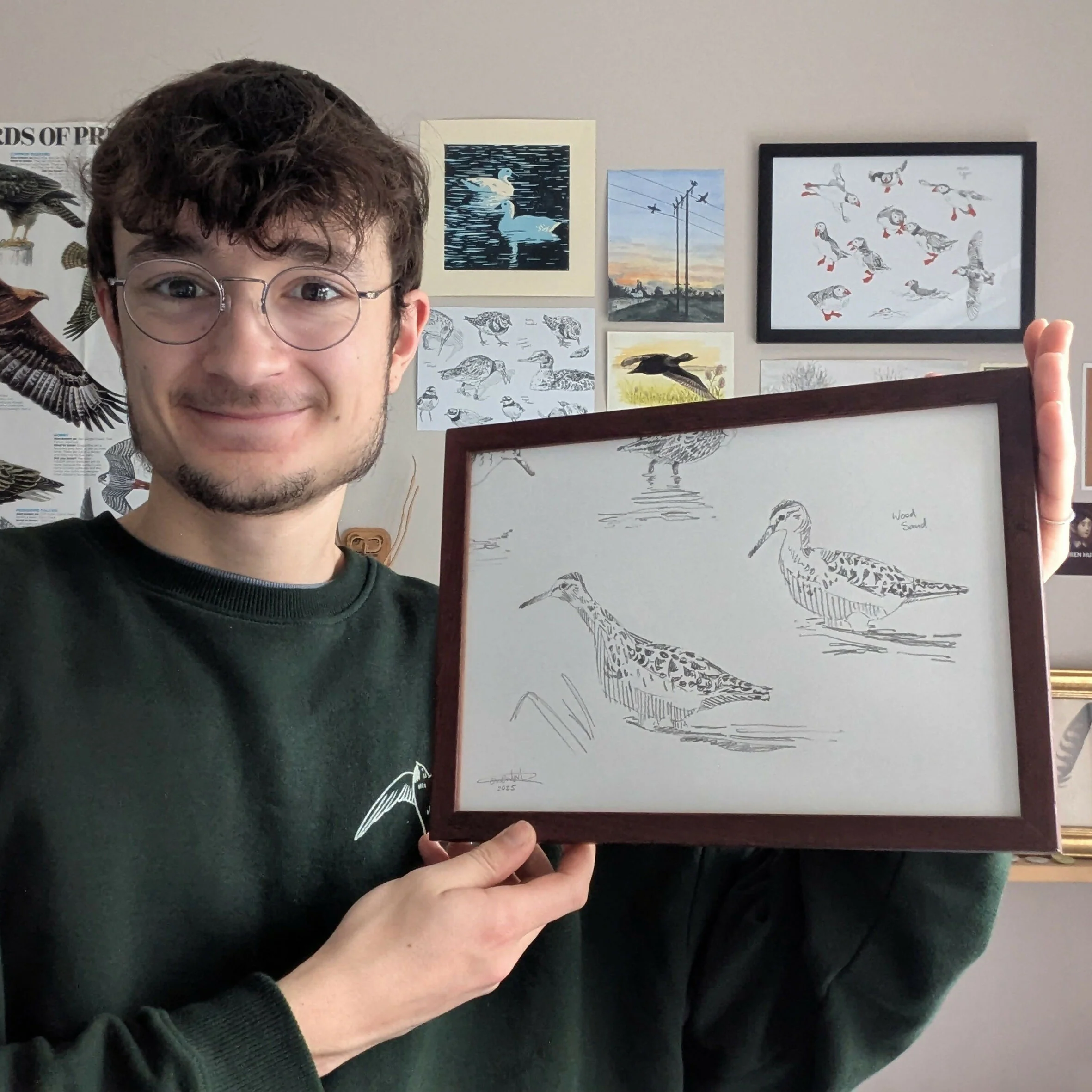 Wood Sandpiper Sketches - Original Framed