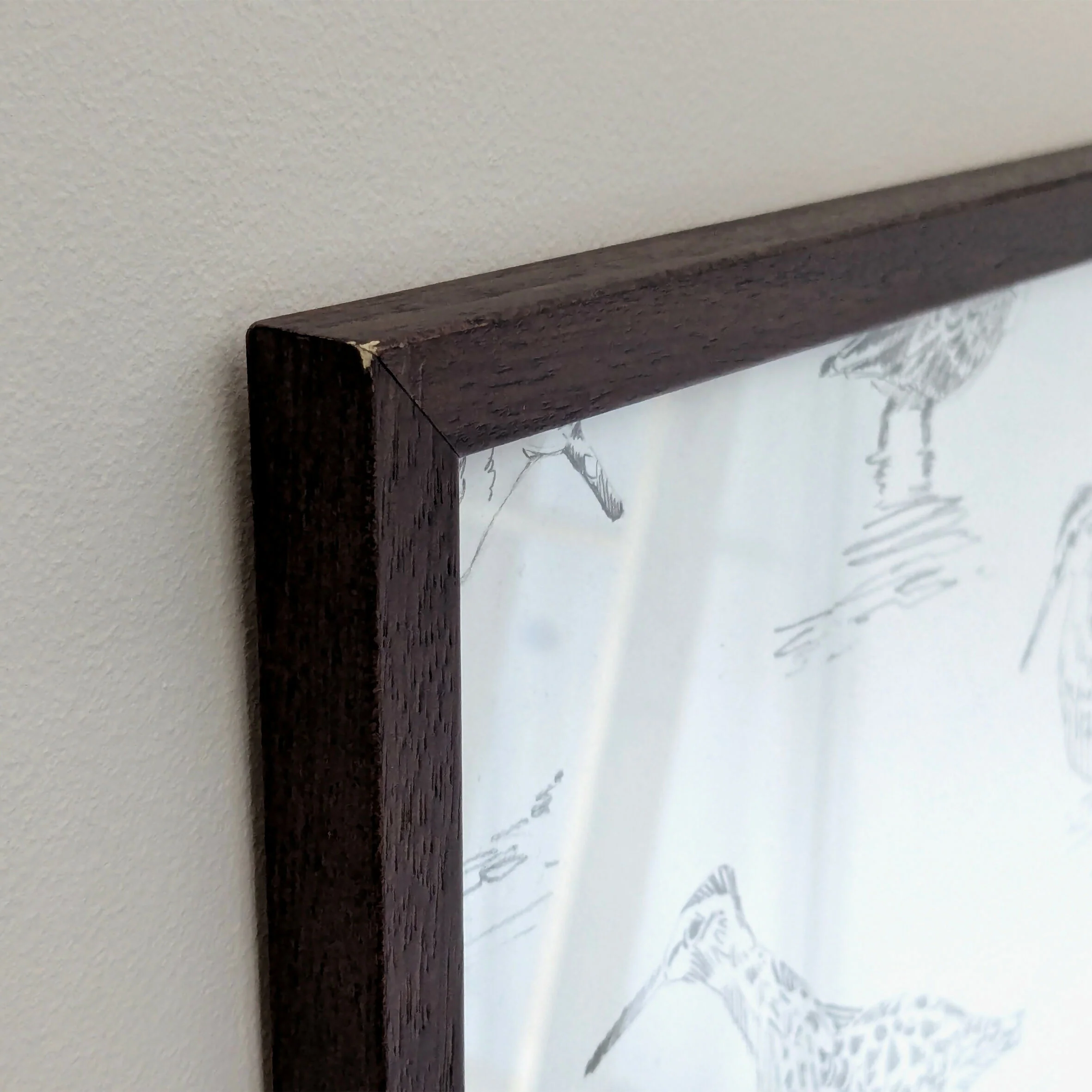 Wood Sandpiper Sketches - Original Framed - Image 4