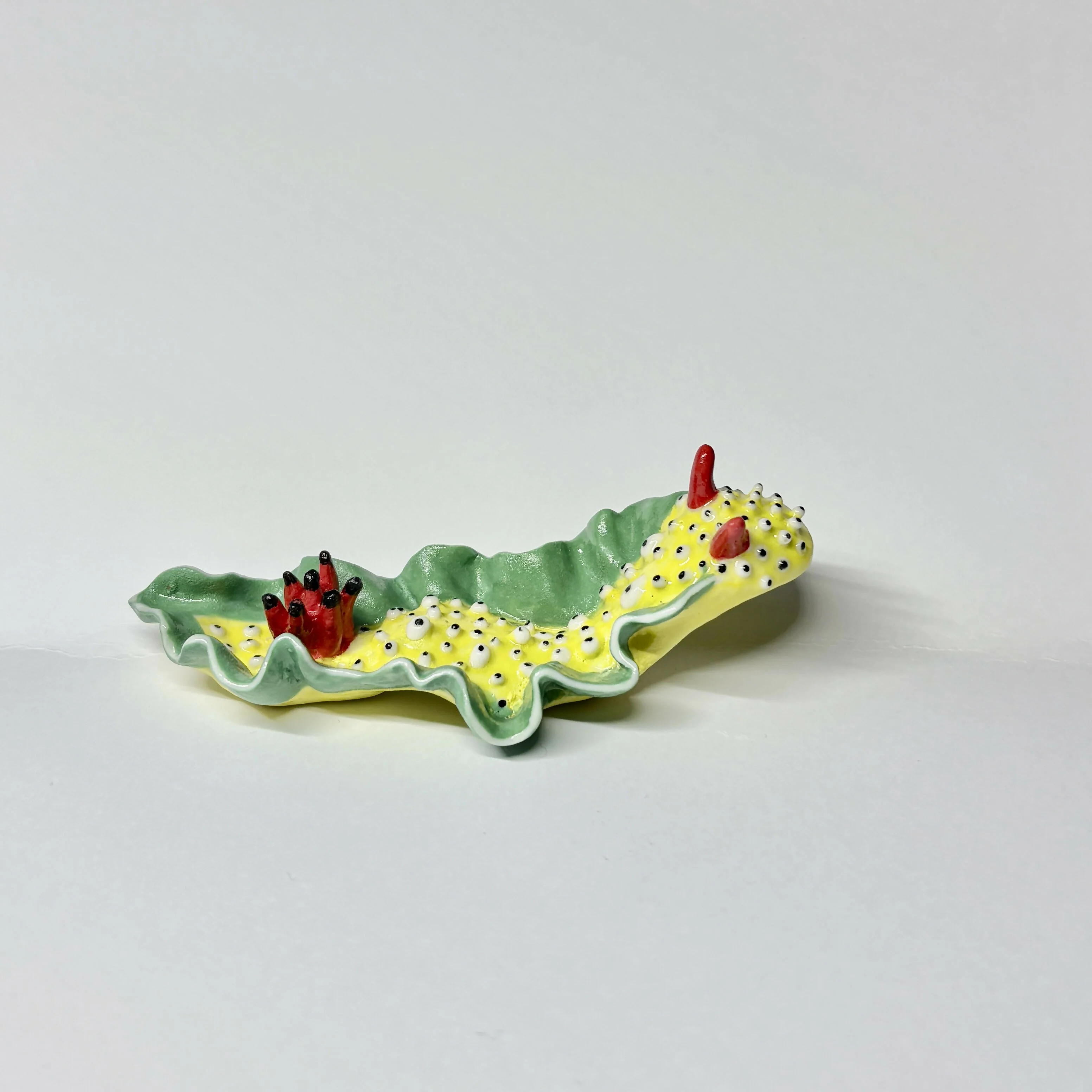 Yellow Porcelain Sea Slug - Image 2