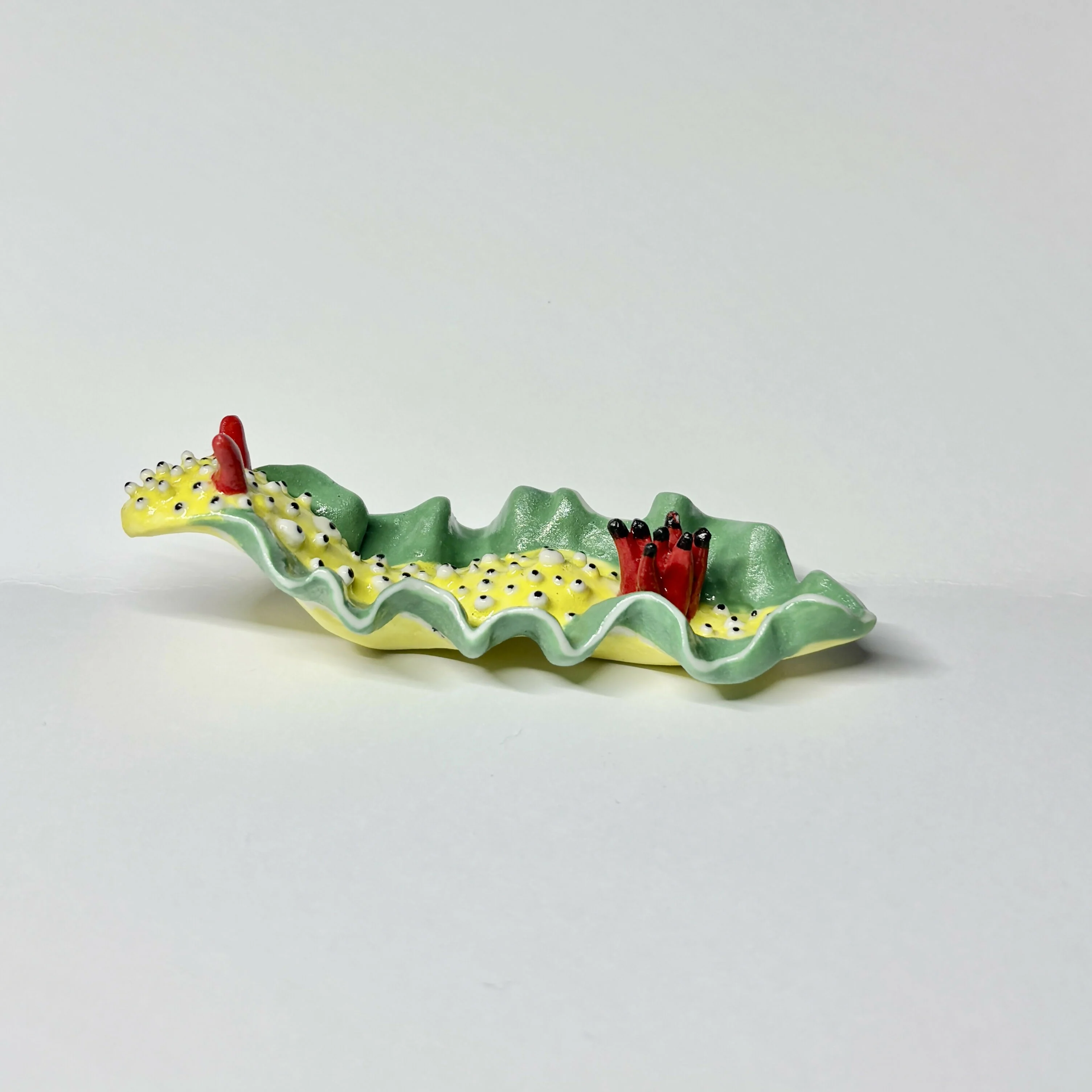 Yellow Porcelain Sea Slug - Image 3